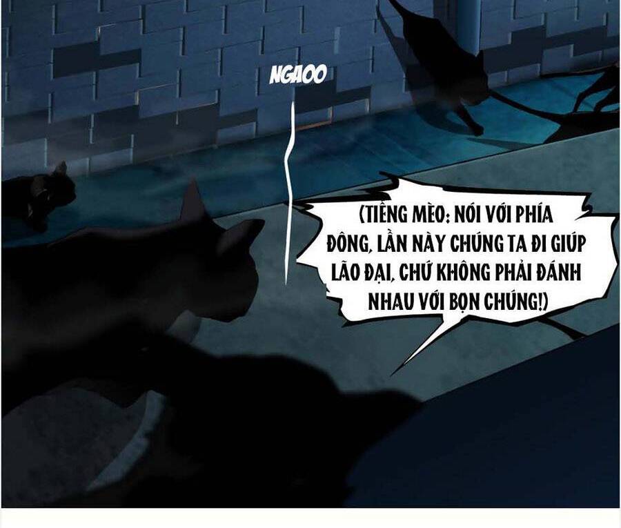 Đằng Nữ Chapter 129 - Trang 21