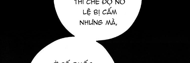 Ba Người Anh Trai Của Tôi Là Bạo Quân Chapter 66 - Trang 18