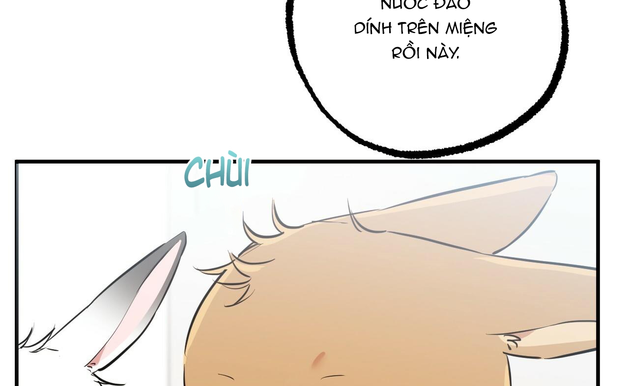 Đàn Thỏ Của Habibi Chapter 36 - Trang 13