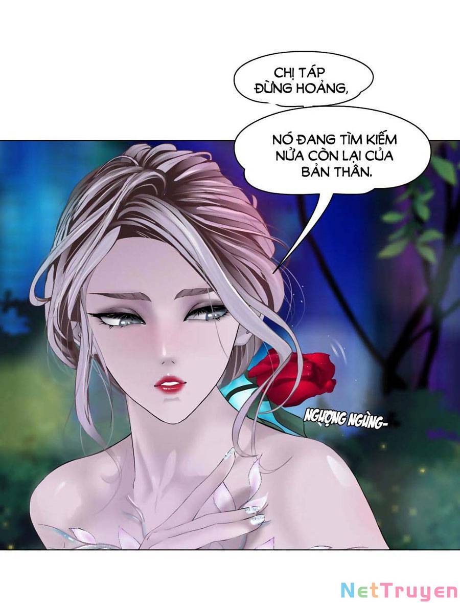 Đằng Nữ Chapter 130 - Trang 35