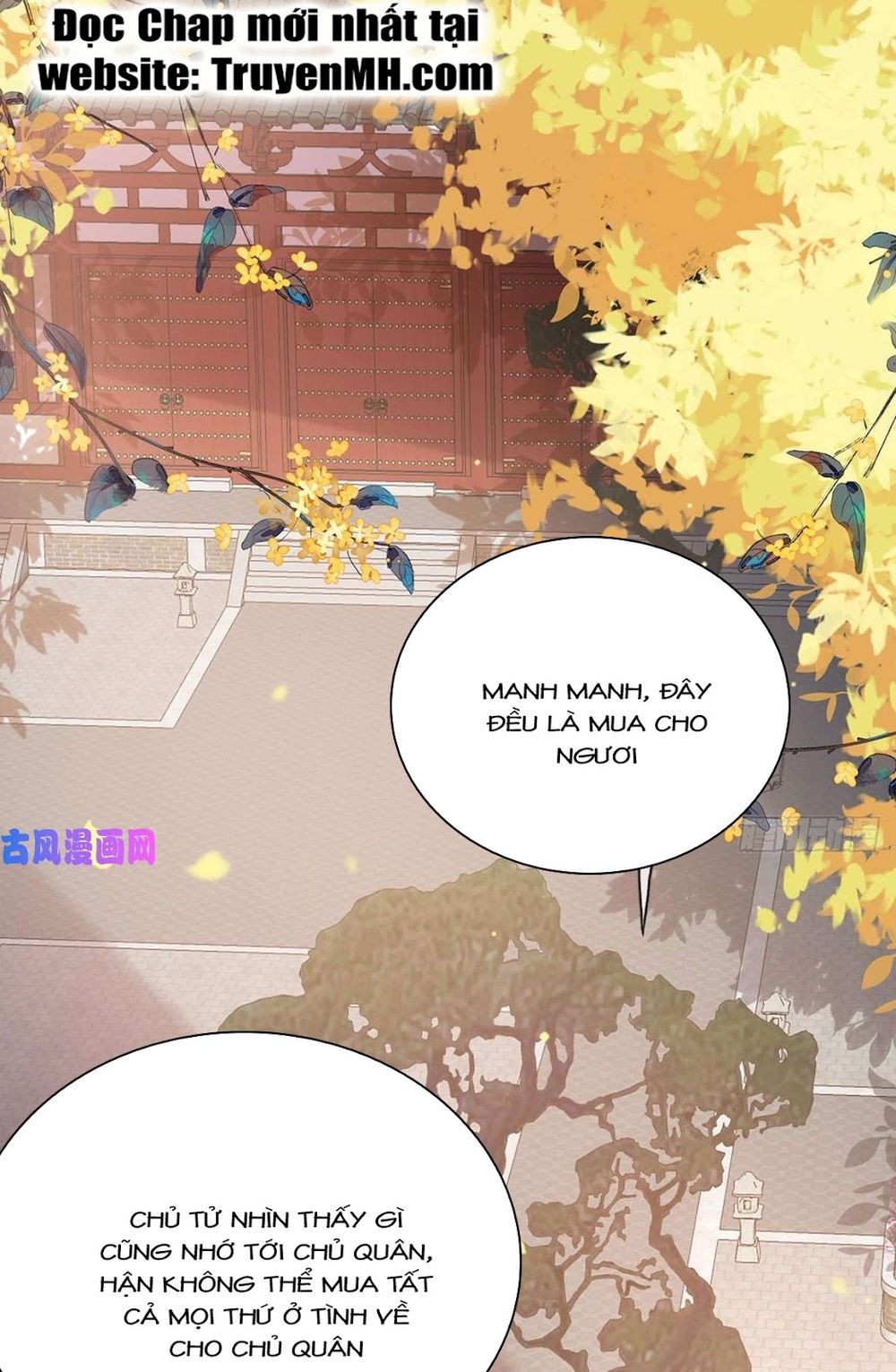 Kiều Mỵ Phu Lang, Tại Tuyến Lục Trà Chapter 59 - Trang 10