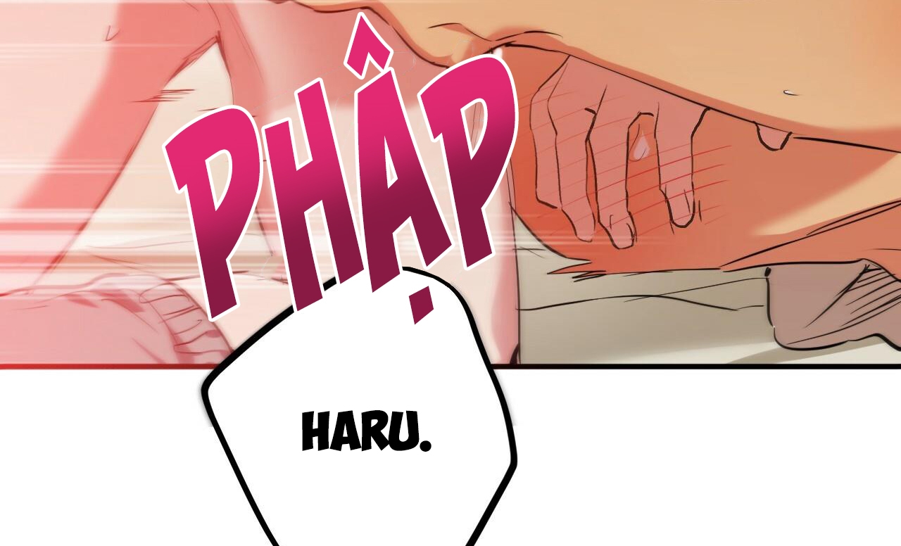 Đàn Thỏ Của Habibi Chapter 38 - Trang 244