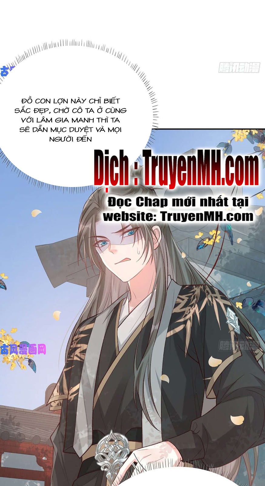 Kiều Mỵ Phu Lang, Tại Tuyến Lục Trà Chapter 62 - Trang 11