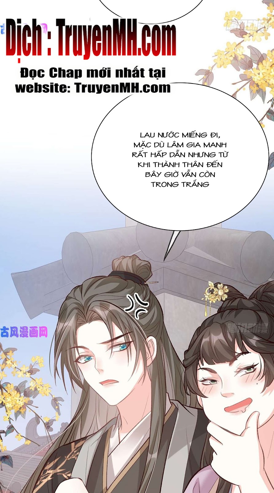 Kiều Mỵ Phu Lang, Tại Tuyến Lục Trà Chapter 62 - Trang 5