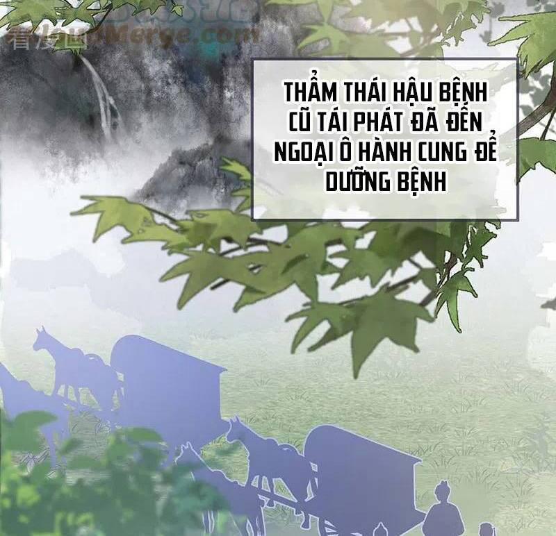 Thái Hậu Quân Hạ Thần Chapter 173 - Trang 22