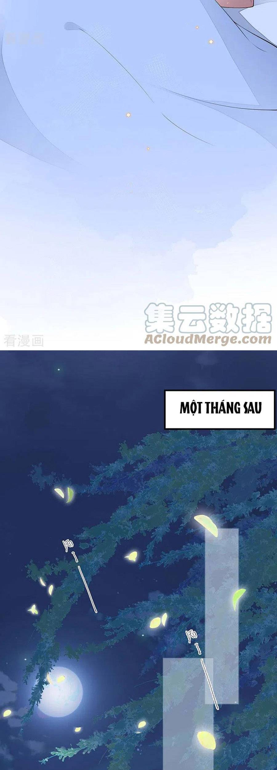 Thái Hậu Quân Hạ Thần Chapter 175 - Trang 17