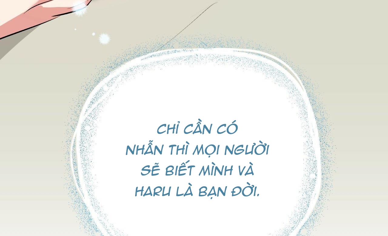 Đàn Thỏ Của Habibi Chapter 41 - Trang 222