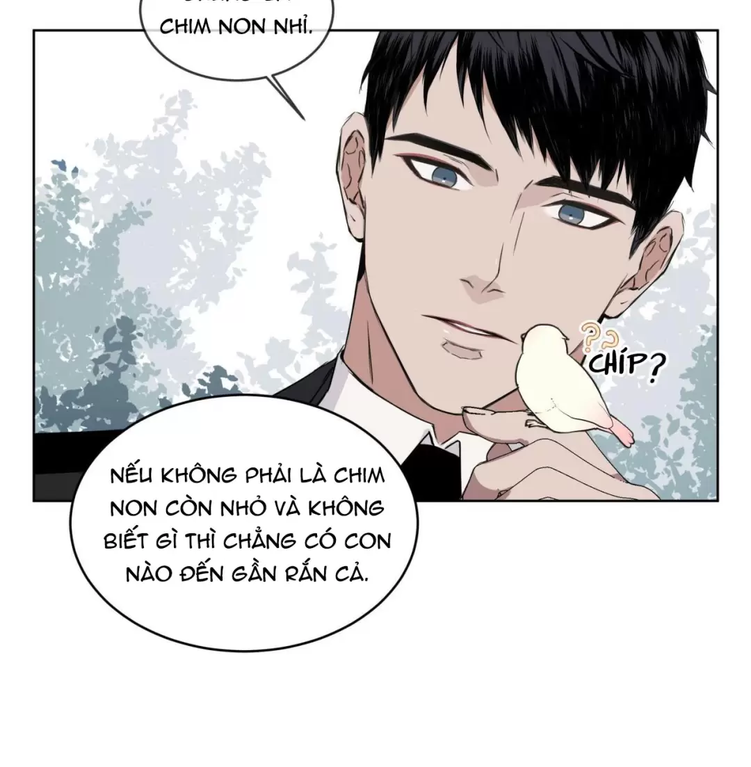 Rừng Biển Chapter 3 - Trang 47