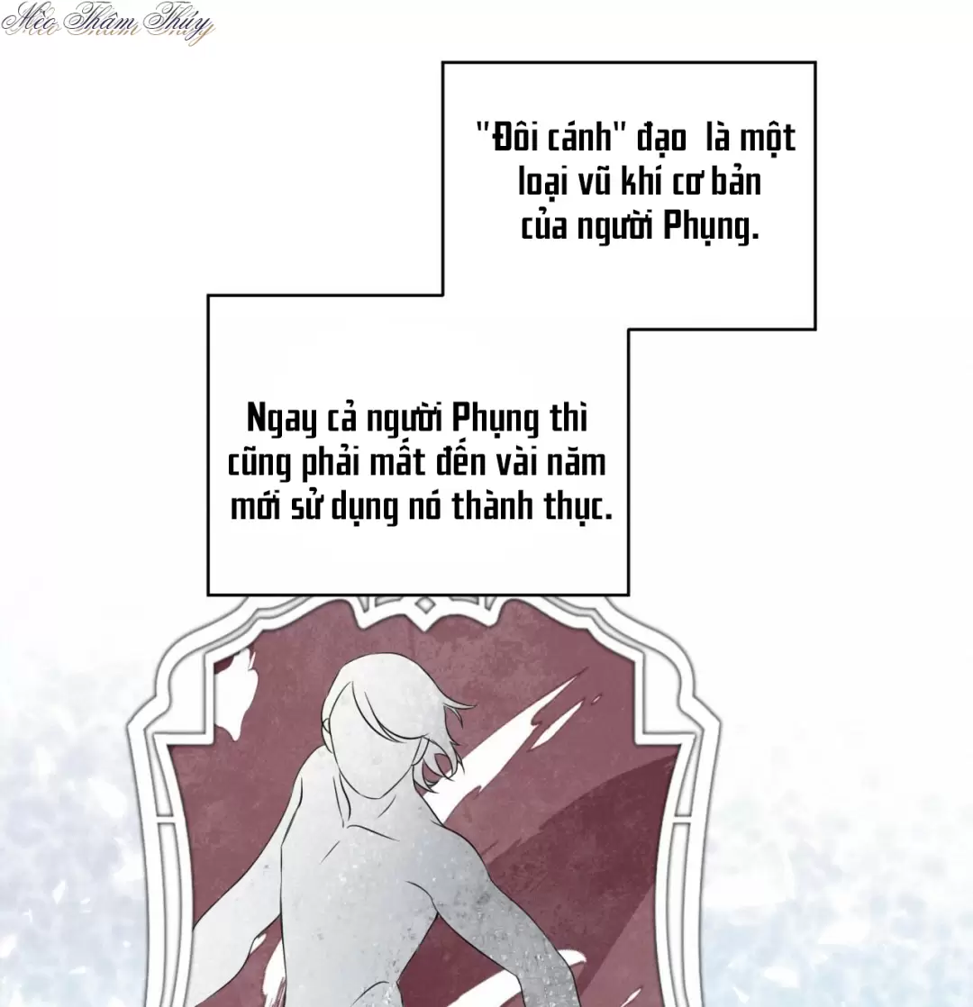 Rừng Biển Chapter 5 - Trang 11