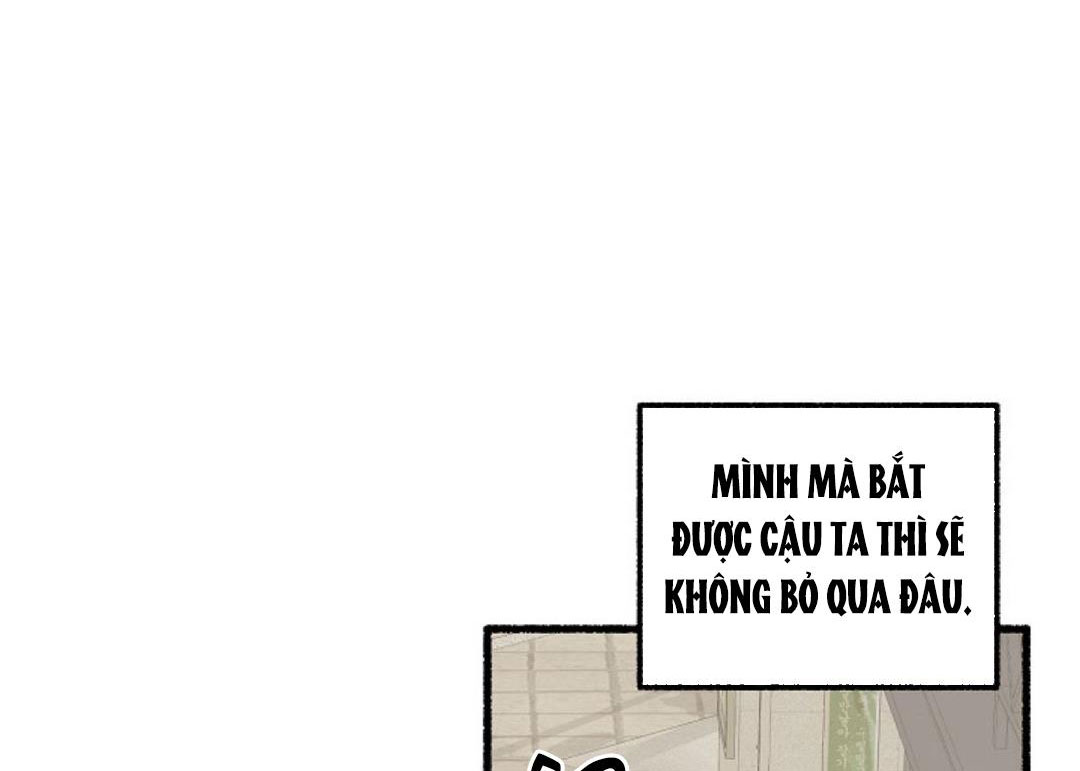 Hoa Triều Chapter 17 - Trang 104