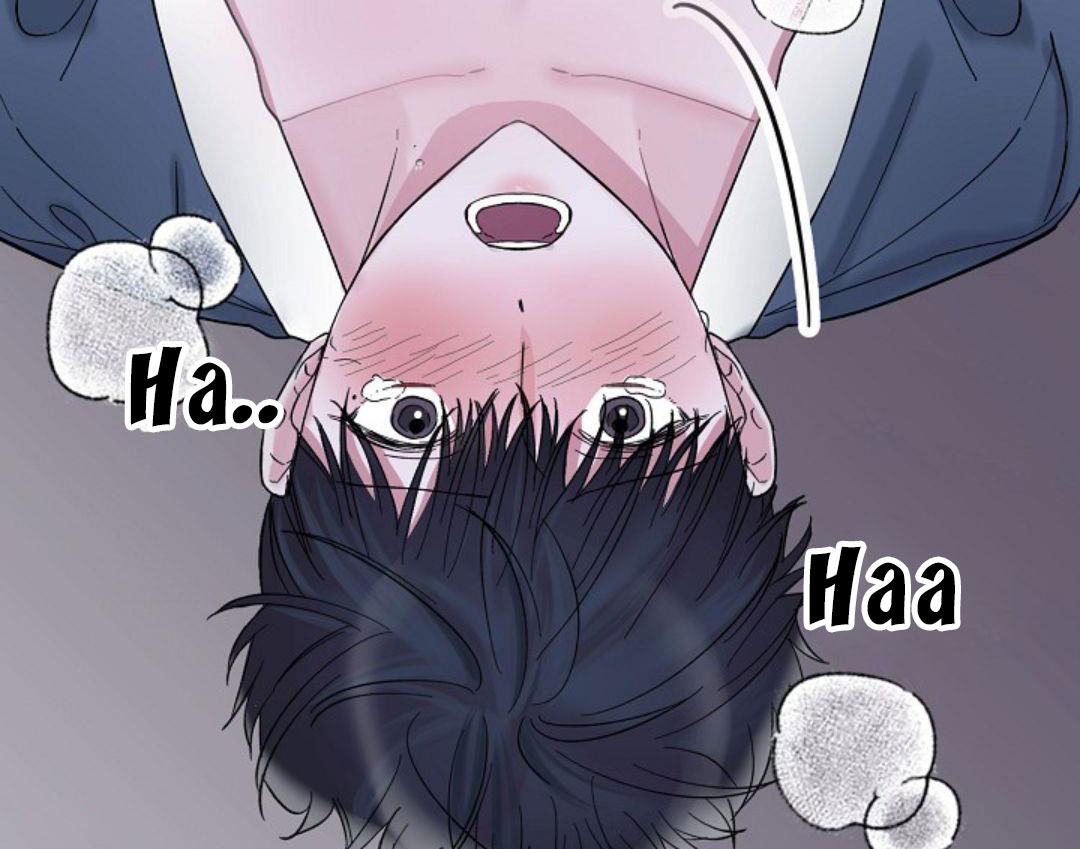 Hoa Triều Chapter 21 - Trang 18