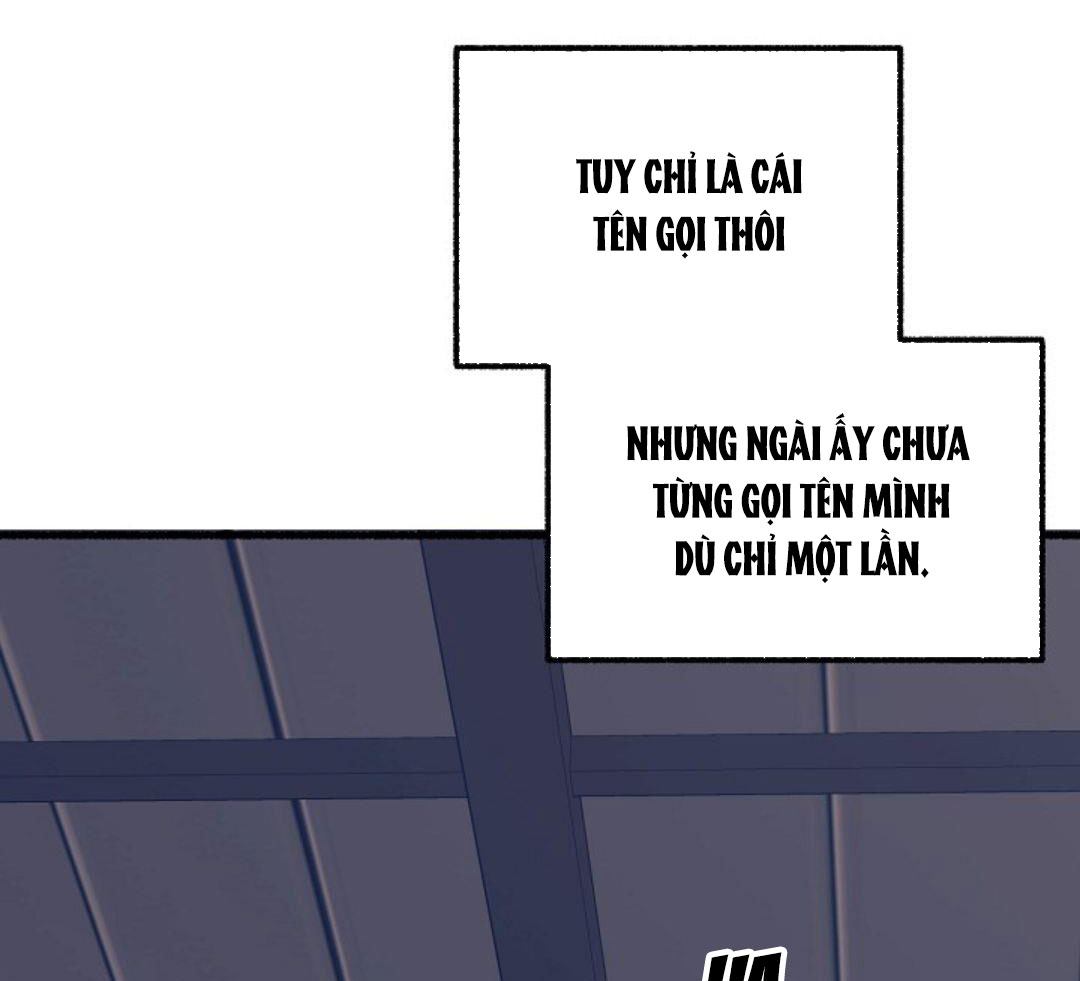 Hoa Triều Chapter 21 - Trang 8