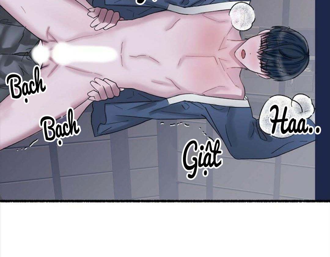 Hoa Triều Chapter 22 - Trang 53