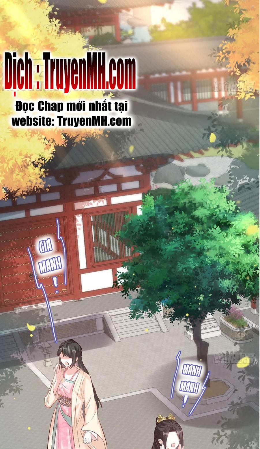 Kiều Mỵ Phu Lang, Tại Tuyến Lục Trà Chapter 65 - Trang 11