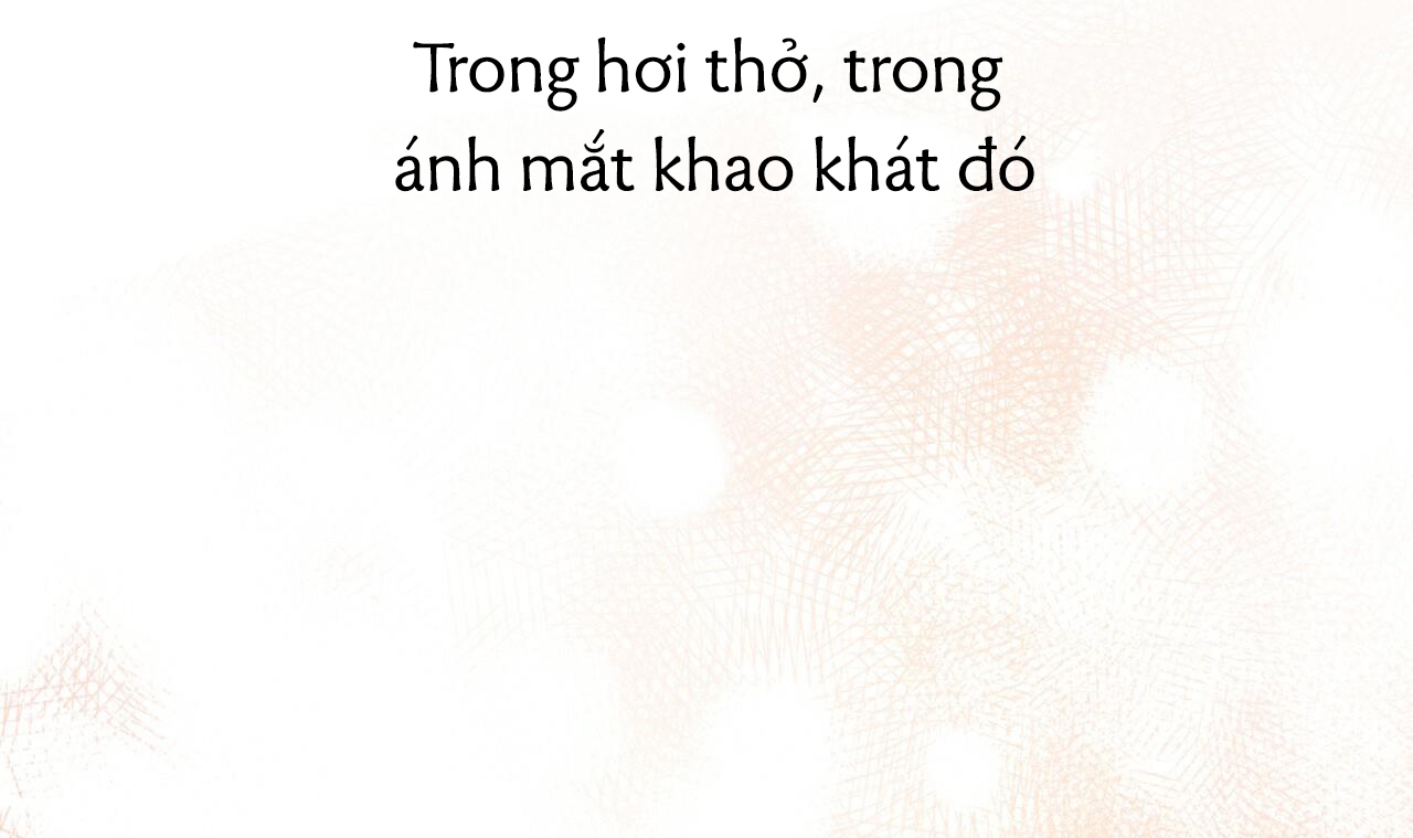 Đàn Thỏ Của Habibi Chapter 43 - Trang 207