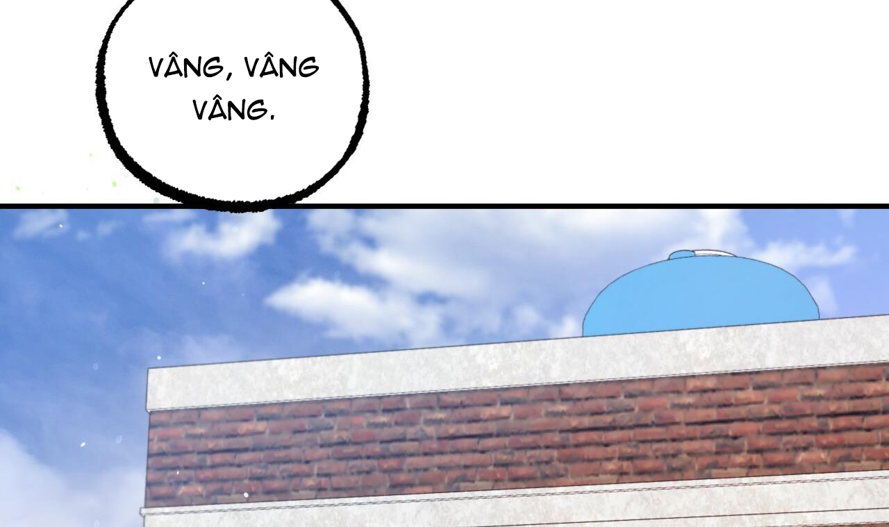 Đàn Thỏ Của Habibi Chapter 44 - Trang 213