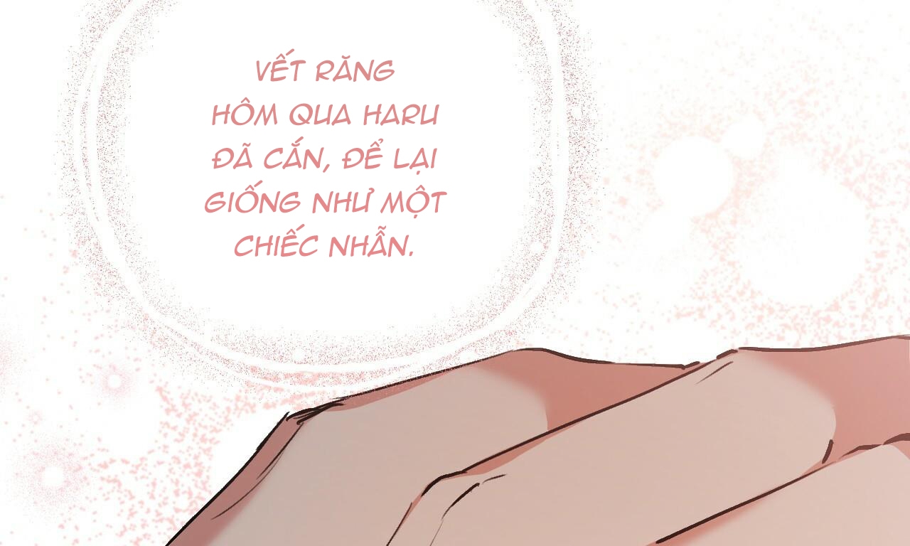 Đàn Thỏ Của Habibi Chapter 44 - Trang 24