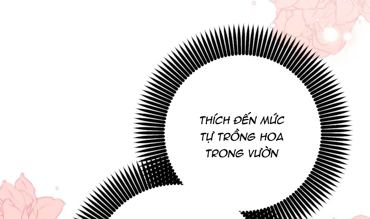 Đàn Thỏ Của Habibi Chapter 44 - Trang 234