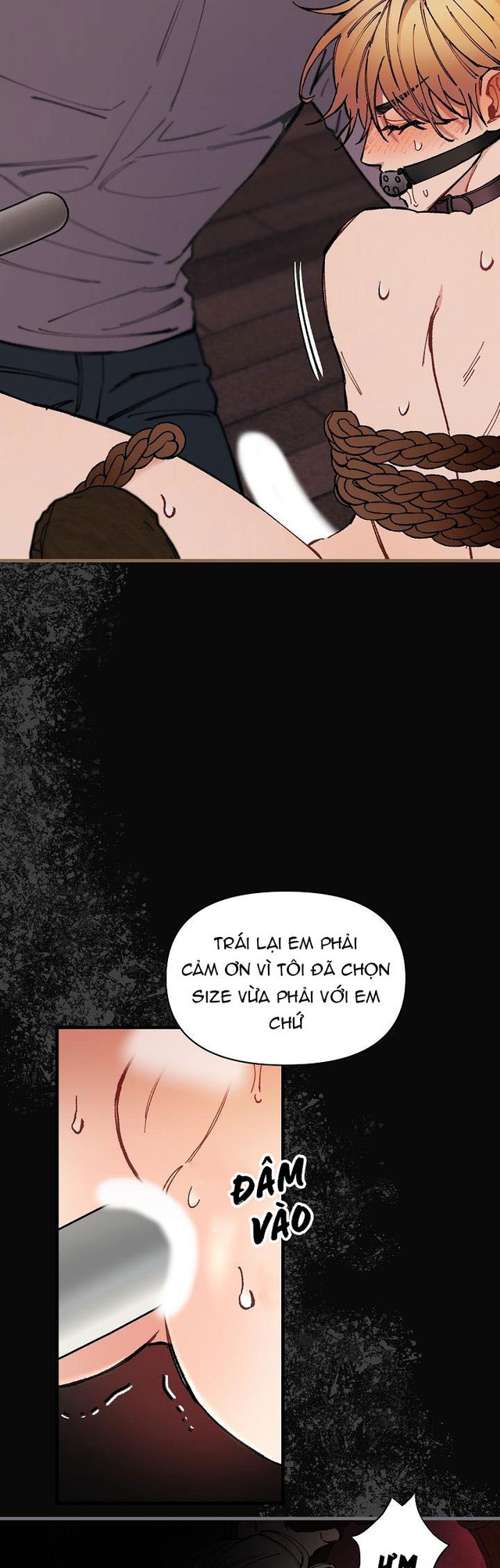 Chuyến Tàu Cuồng Loạn Chapter 34 (H+) - Trang 34