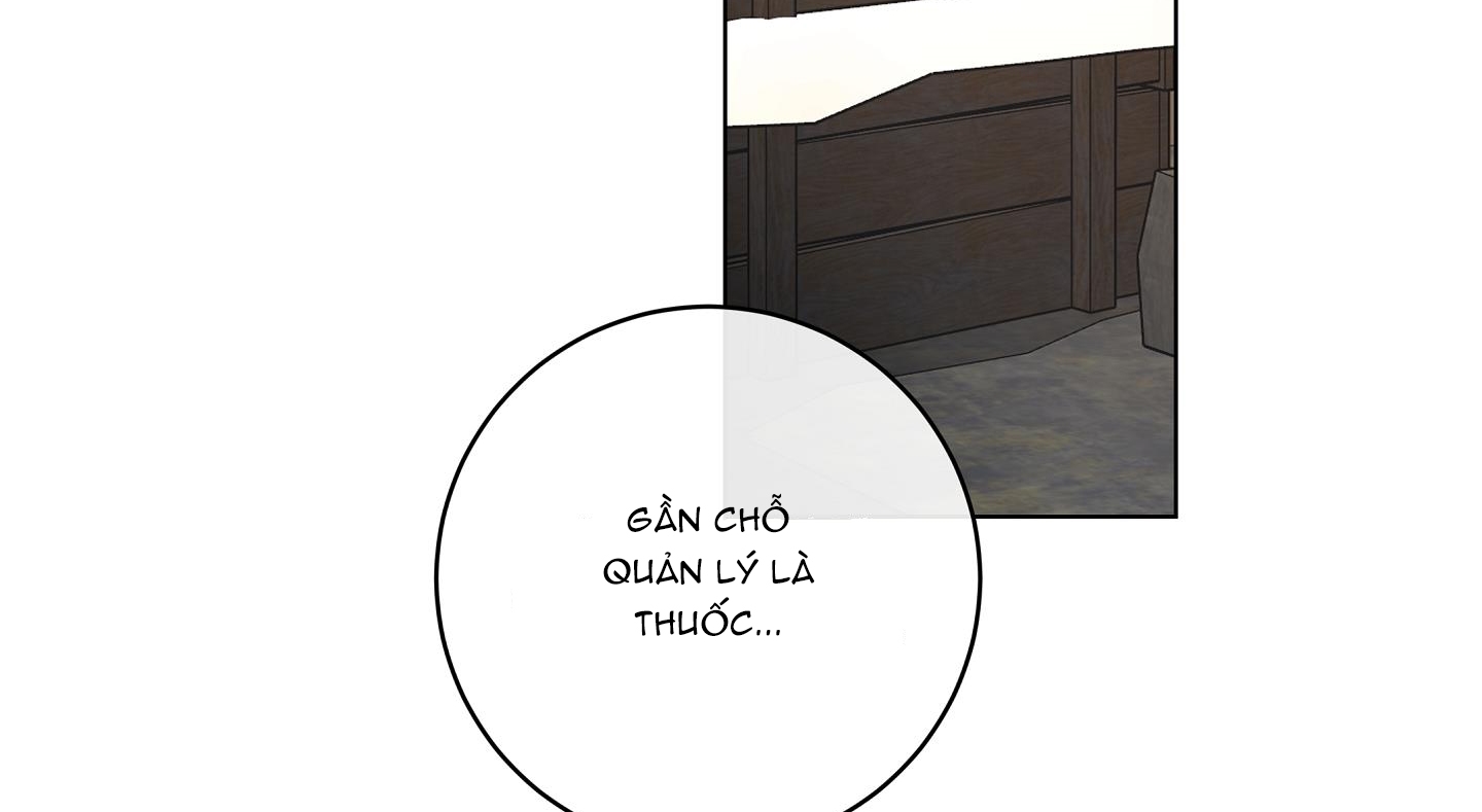 Nhật Thực Chapter 79 - Trang 114