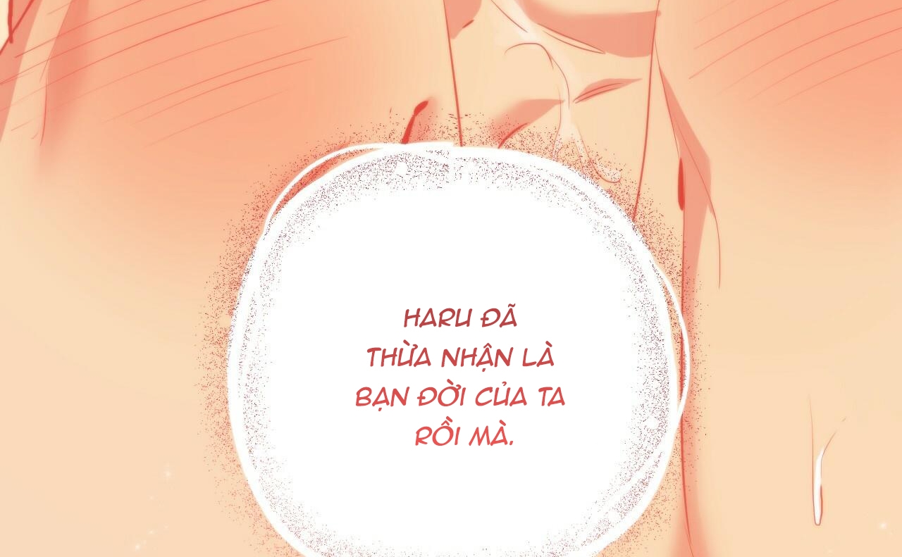 Đàn Thỏ Của Habibi Chapter 46 - Trang 250