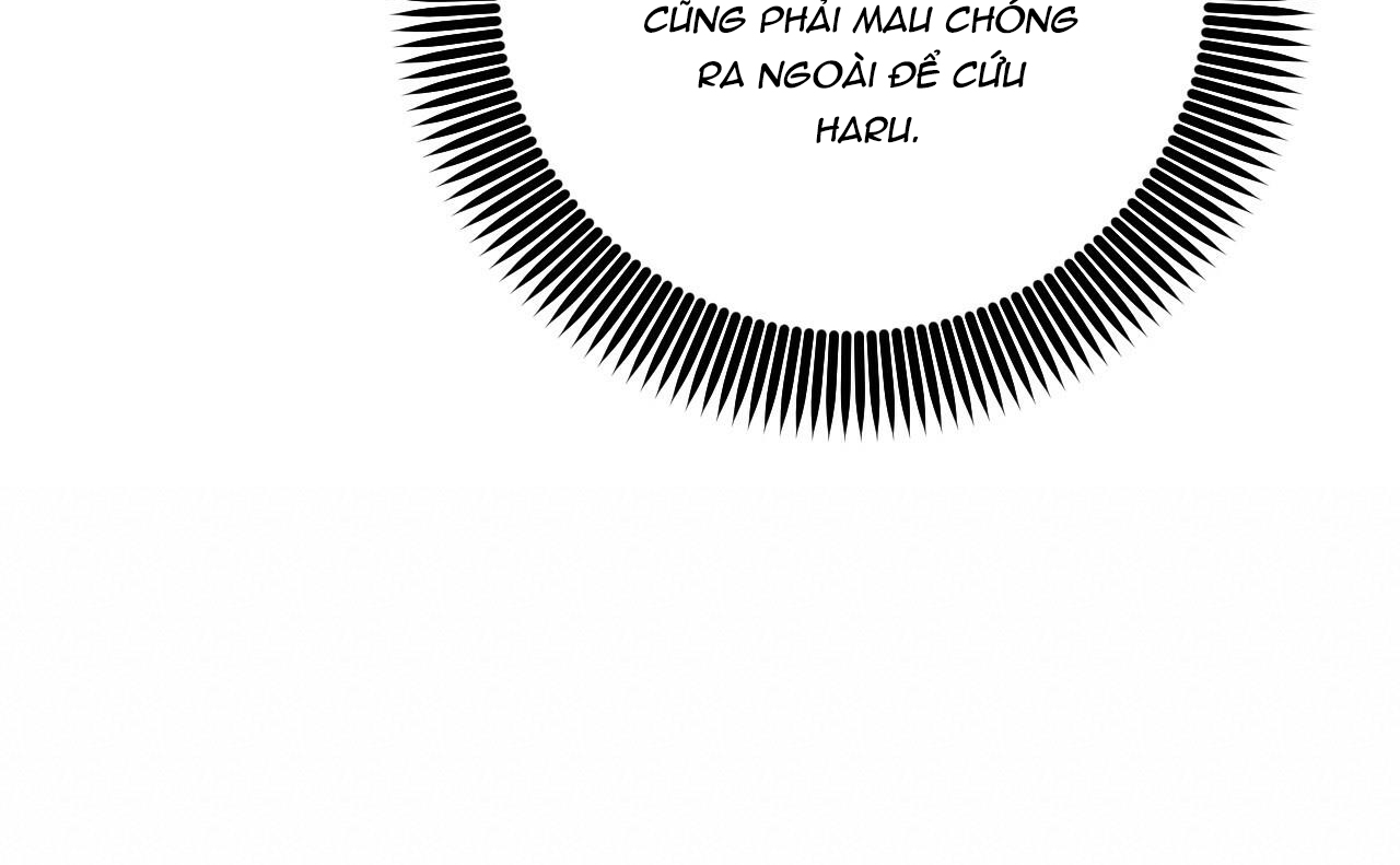 Đàn Thỏ Của Habibi Chapter 46 - Trang 256