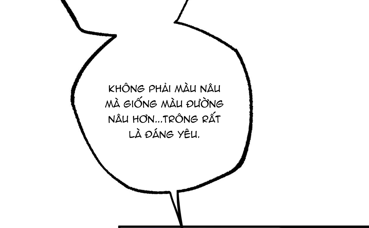 Đàn Thỏ Của Habibi Chapter 46 - Trang 43