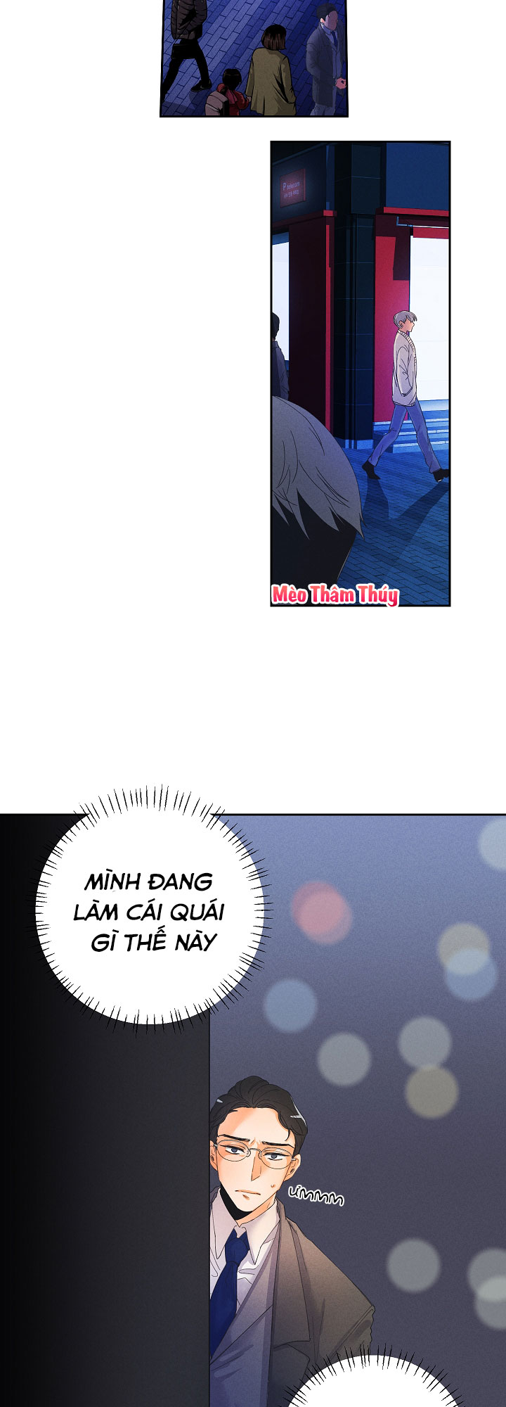 Cuộc Cải Cách Dâm Dục Chapter 1 - Trang 8