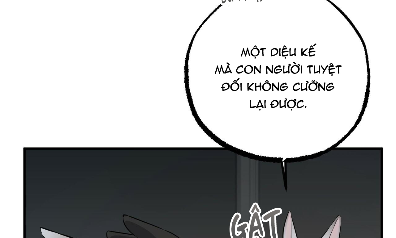 Đàn Thỏ Của Habibi Chapter 47 - Trang 6