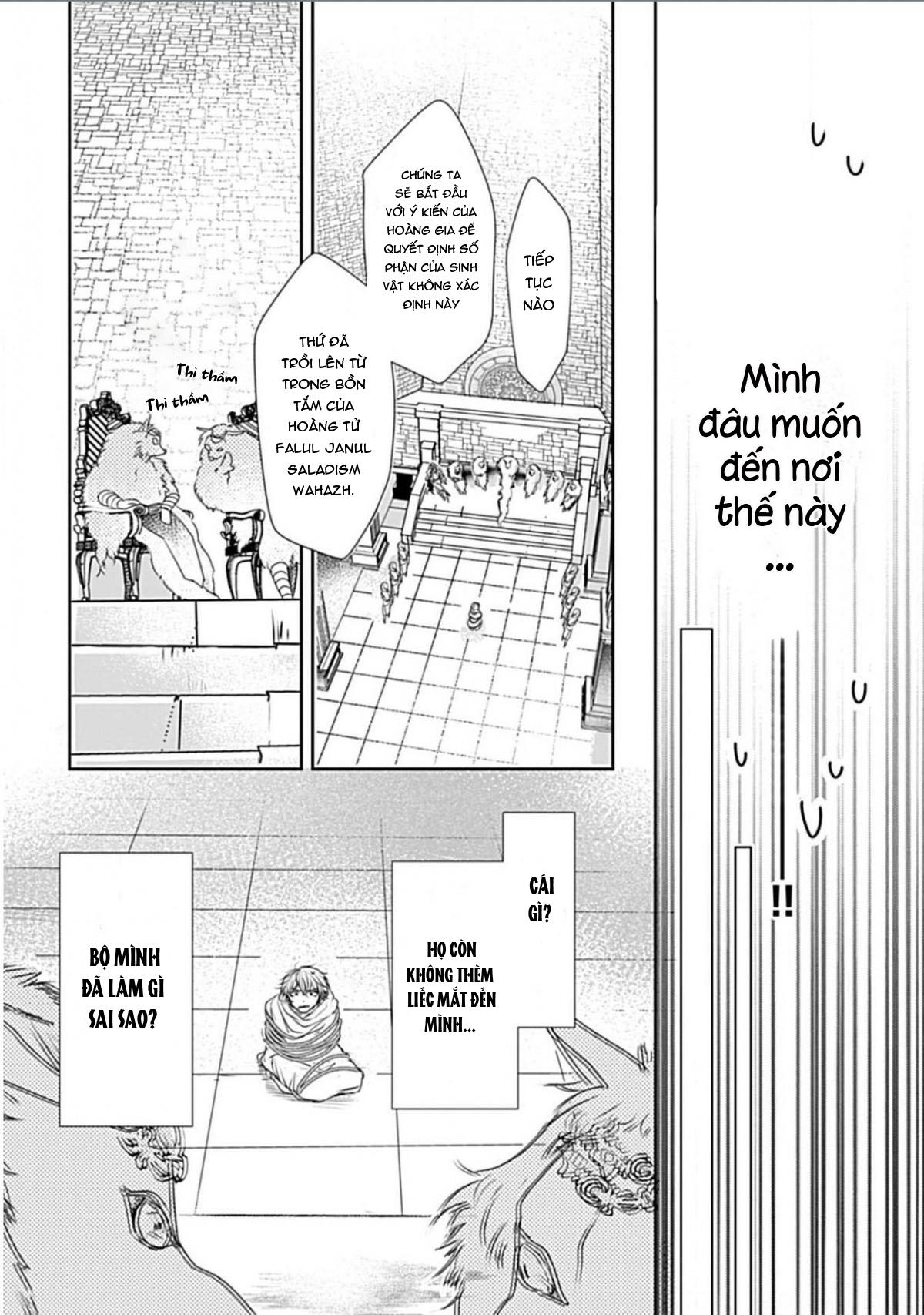 Itoshi No Kemukujara Chapter 1 - Trang 13