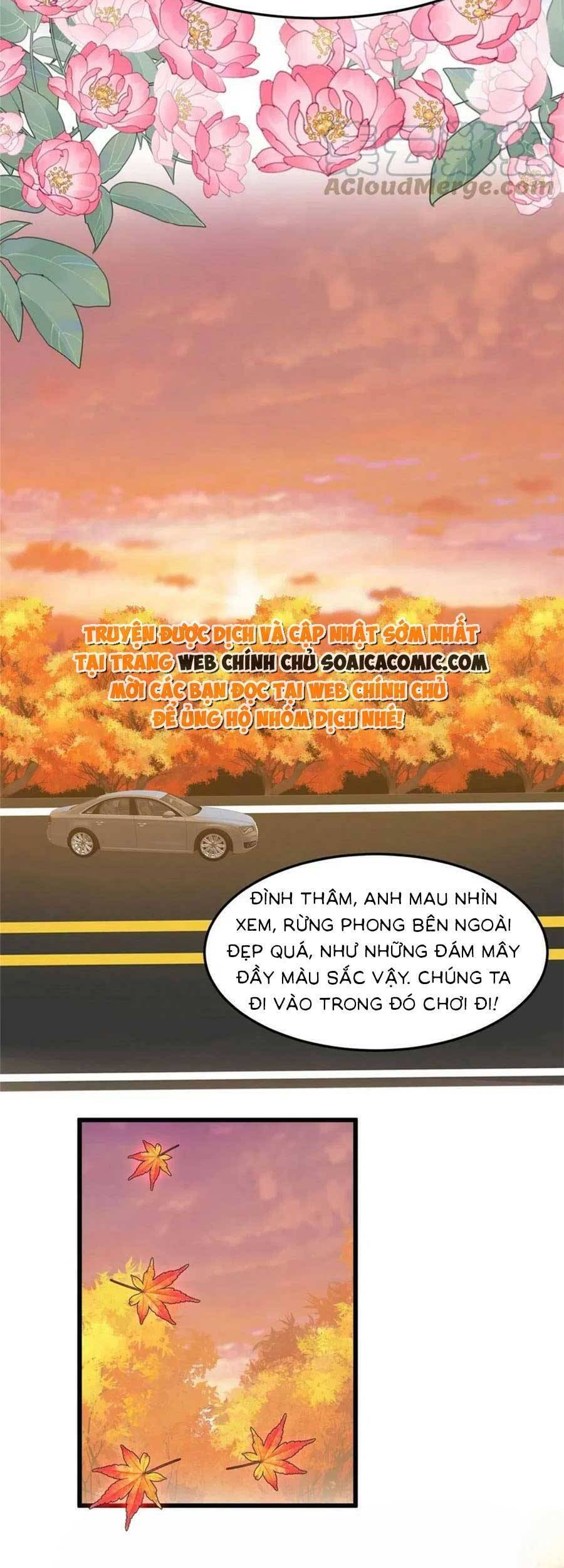 Lưng Dựa Núi Lớn Đứng Vững C Vị Chapter 152 - Trang 4