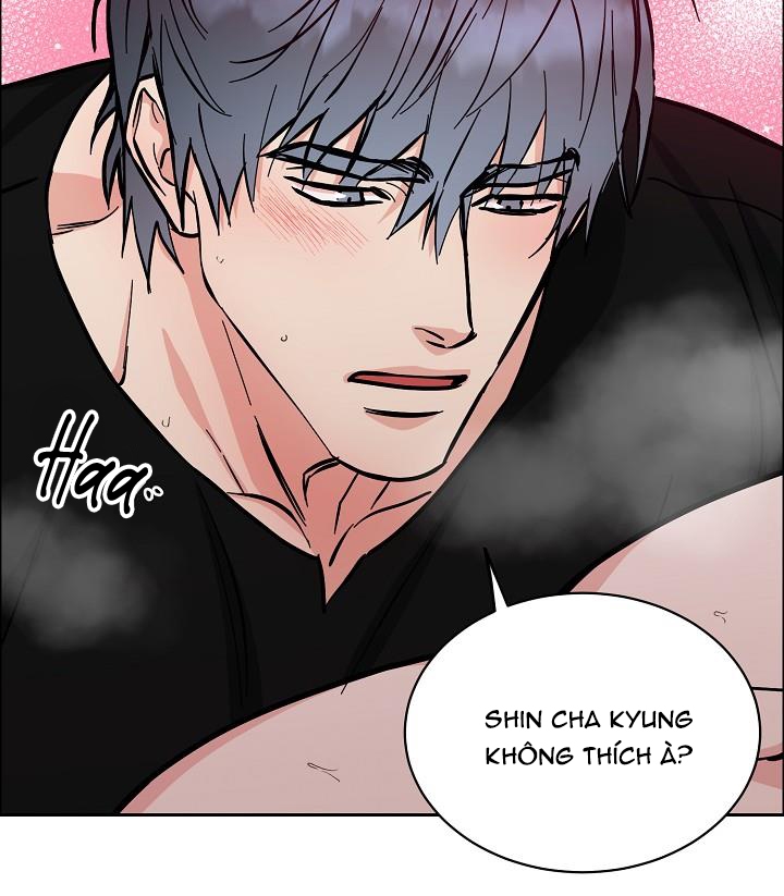 Bạn Sẽ Follow Tôi Chứ? Chapter 70: End SS3 - Trang 22