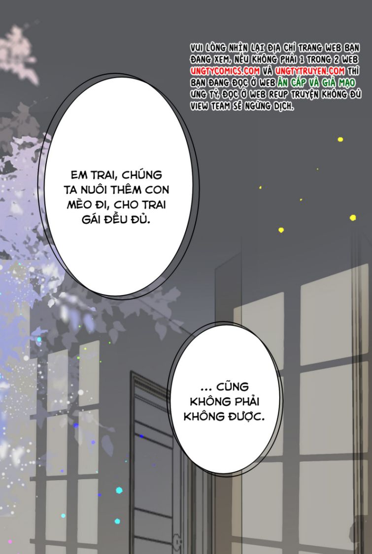 Scandal Quá Nhiều Là Lỗi Của Tôi Sao? Chapter 49 - Trang 8