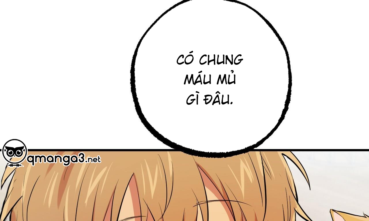 Đàn Thỏ Của Habibi Chapter 51 - Trang 182