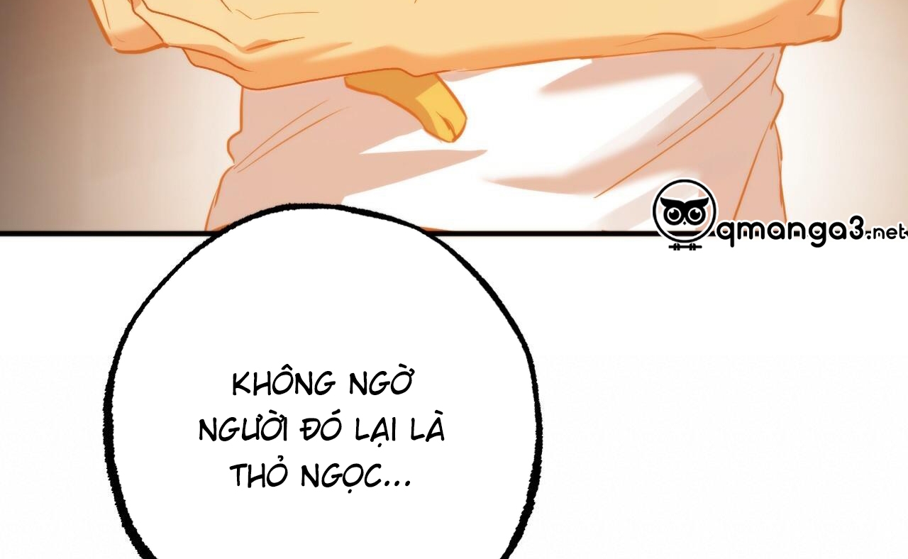 Đàn Thỏ Của Habibi Chapter 52 - Trang 161