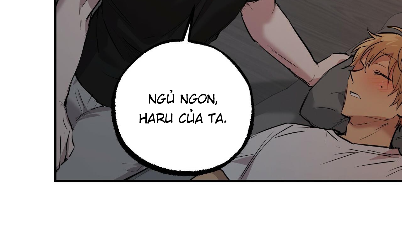 Đàn Thỏ Của Habibi Chapter 52 - Trang 228