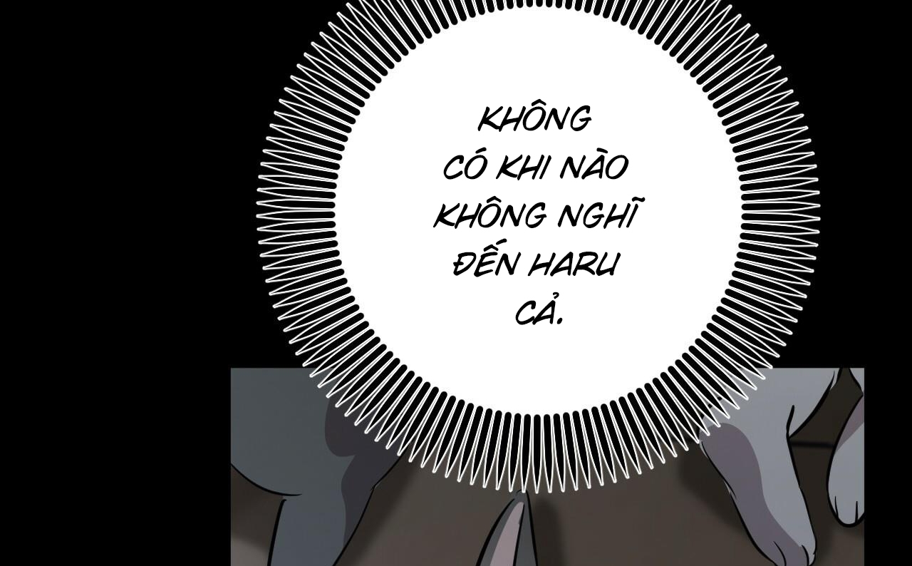 Đàn Thỏ Của Habibi Chapter 52 - Trang 25