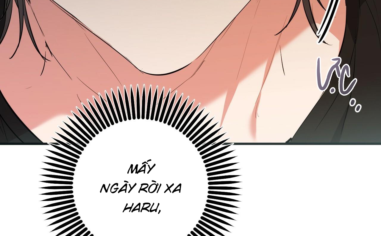 Đàn Thỏ Của Habibi Chapter 52 - Trang 8