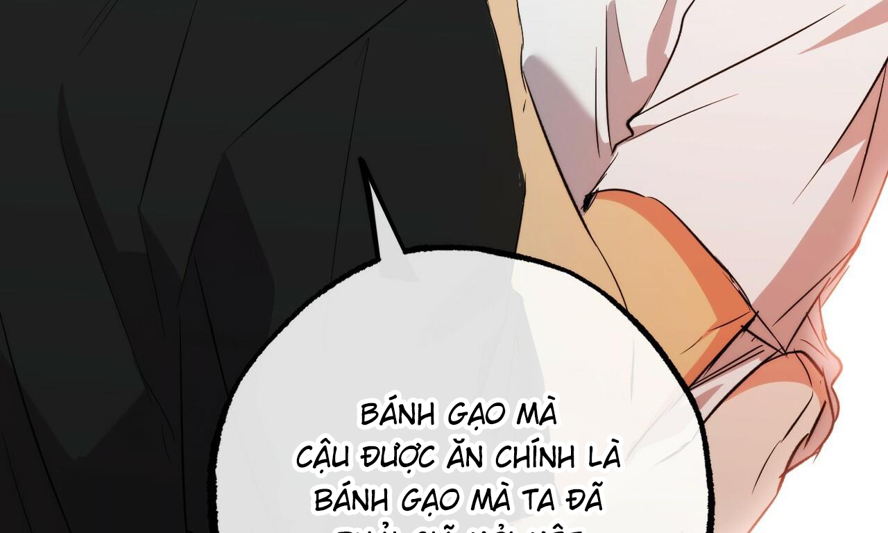 Đàn Thỏ Của Habibi Chapter 53 - Trang 263