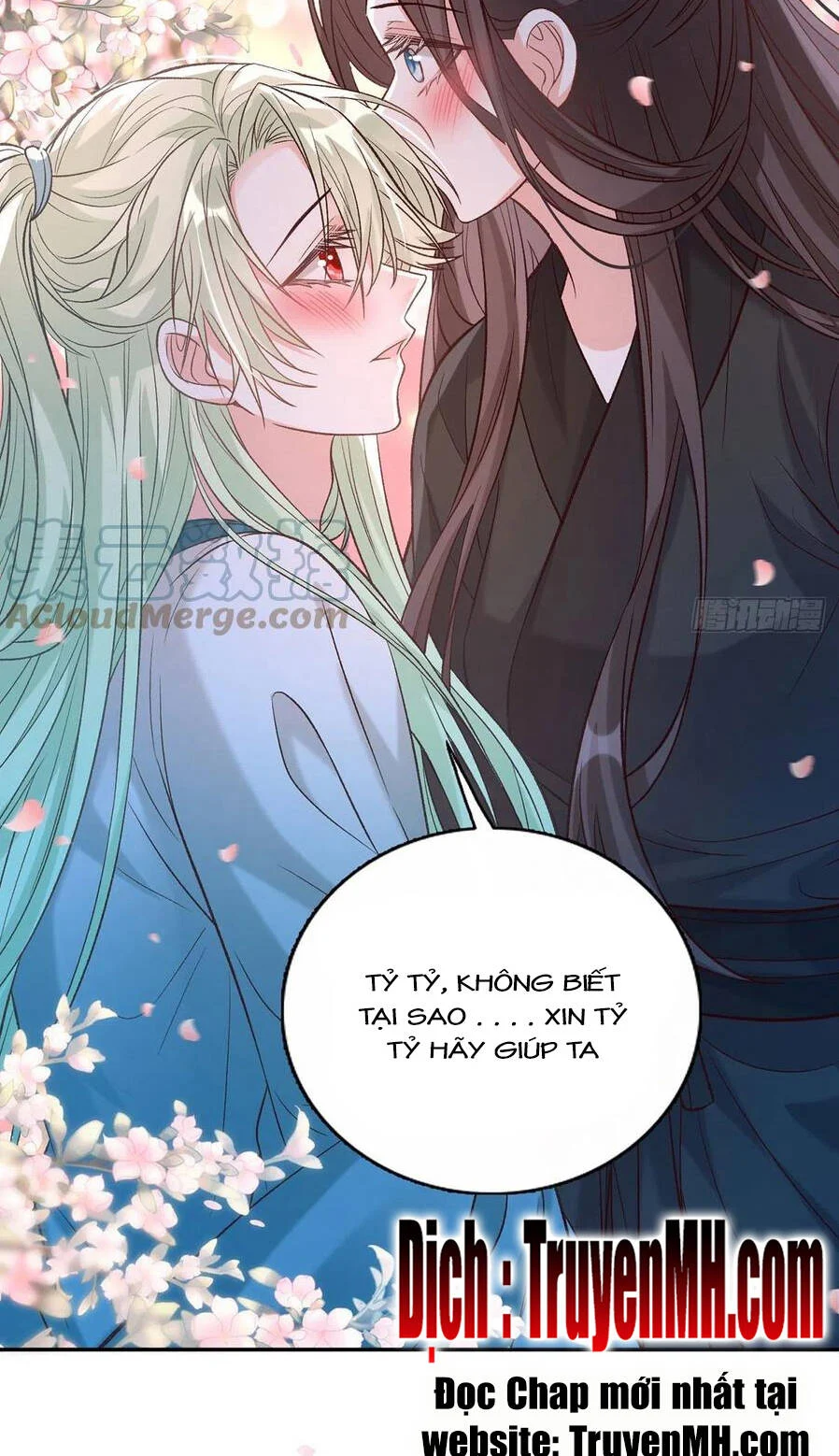 Kiều Mỵ Phu Lang, Tại Tuyến Lục Trà Chapter 76 - Trang 7