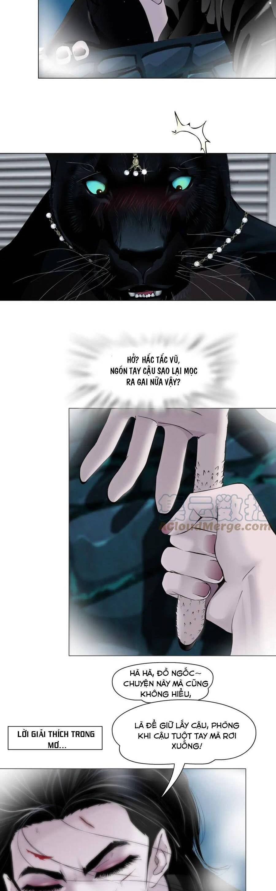 Đằng Nữ Chapter 145 - Trang 12