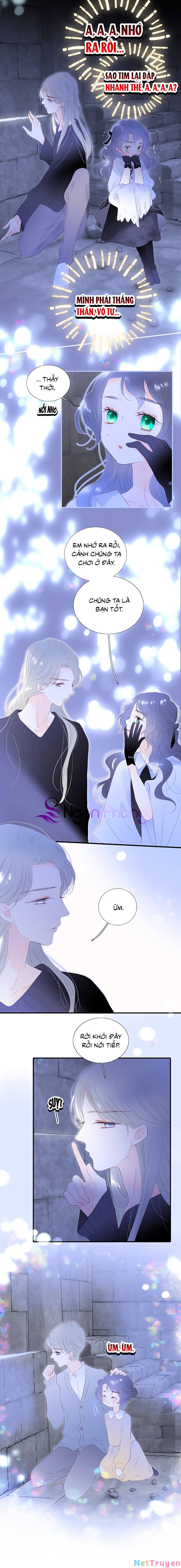 Hoa Bỏ Chạy Với Nhím Rồi Chapter 82 - Trang 5