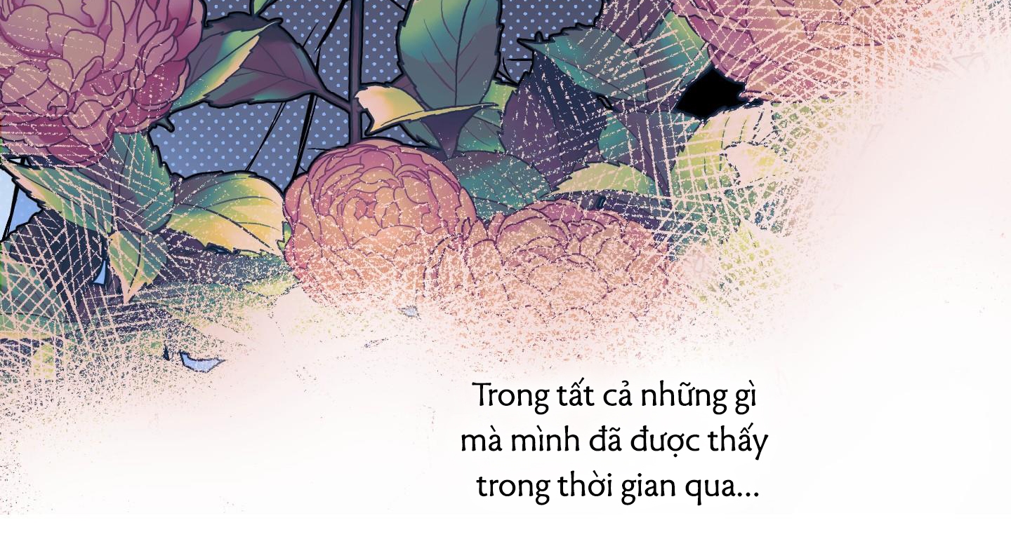 Định Rõ Mối Quan Hệ Chapter 53 - Trang 165