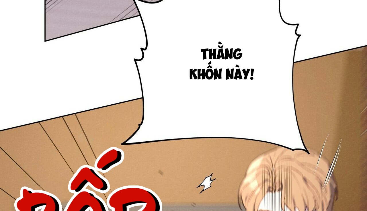 Chàng Dâu Nhà Họ Kang Chapter 27 - Trang 58