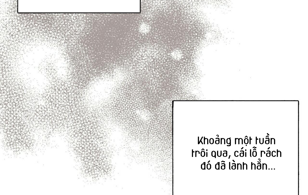 Chàng Dâu Nhà Họ Kang Chapter 28 - Trang 145