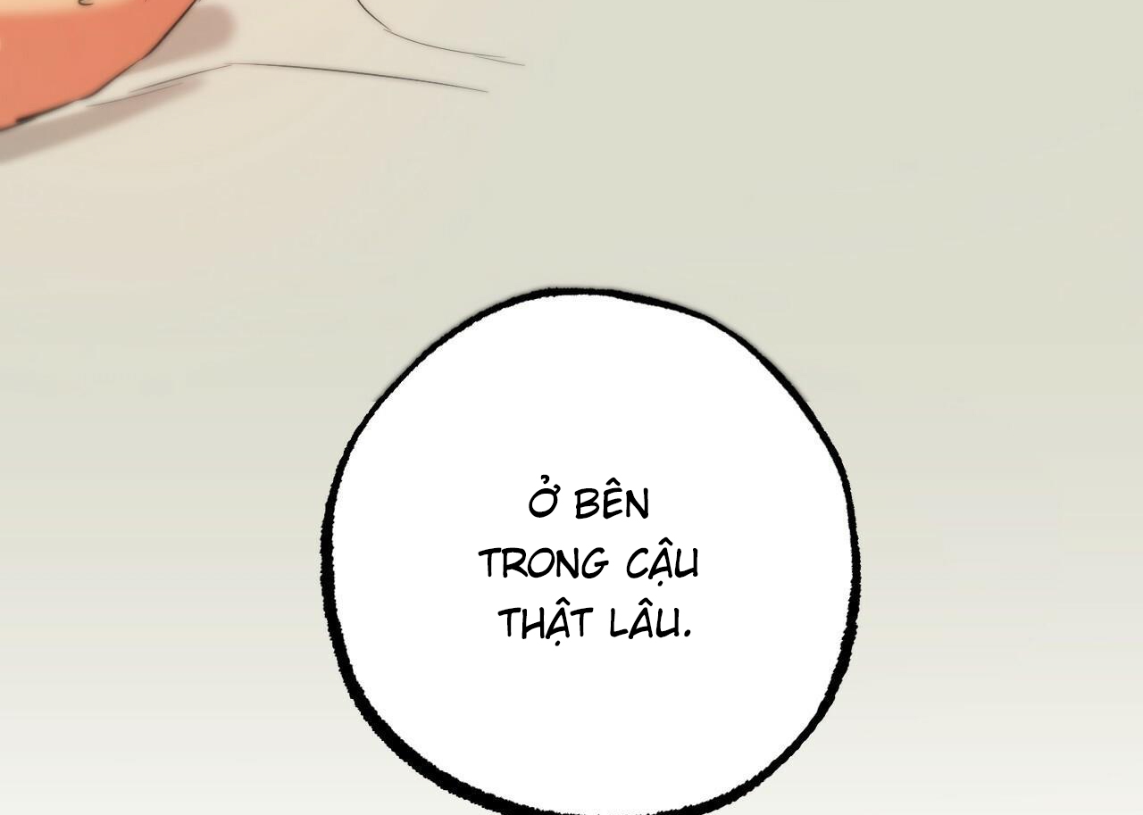 Đàn Thỏ Của Habibi Chapter 54 - Trang 217