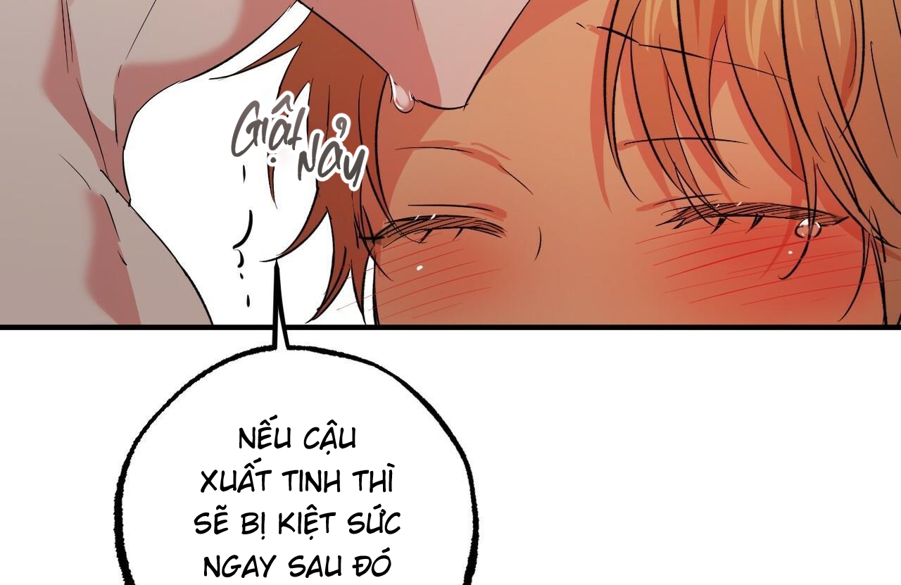 Đàn Thỏ Của Habibi Chapter 54 - Trang 95