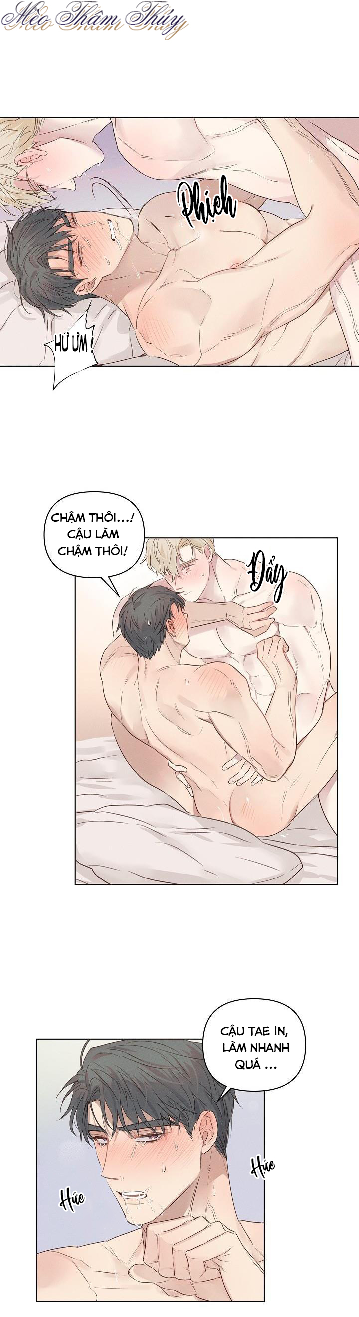 Tình Yêu Định Mệnh Chapter 4 - Trang 13