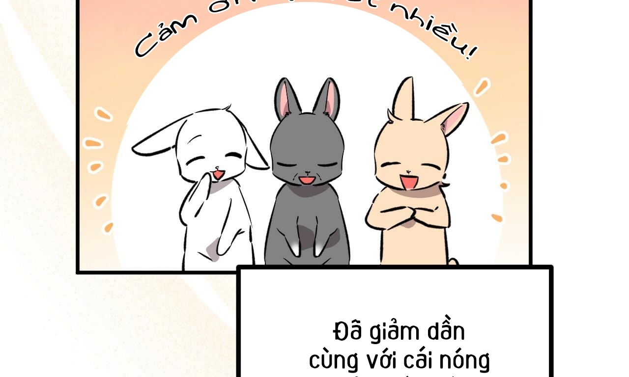 Đàn Thỏ Của Habibi Chapter 55 - Trang 3