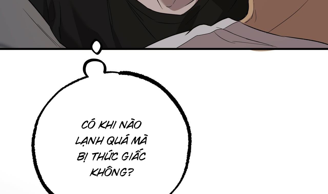 Đàn Thỏ Của Habibi Chapter 55 - Trang 42